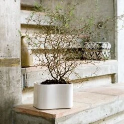 Artek Pot De Fleurs Riihitie A, Petit Modèle, Blanc Brillant -Ménagers Décoration Soldes Boutique 398Artek iso FV