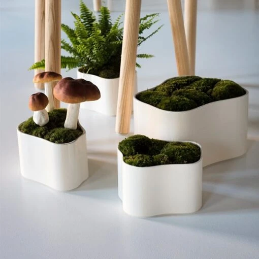 Artek Pot De Fleurs Riihitie A, Petit Modèle, Blanc Brillant -Ménagers Décoration Soldes Boutique 405Artek iso FV